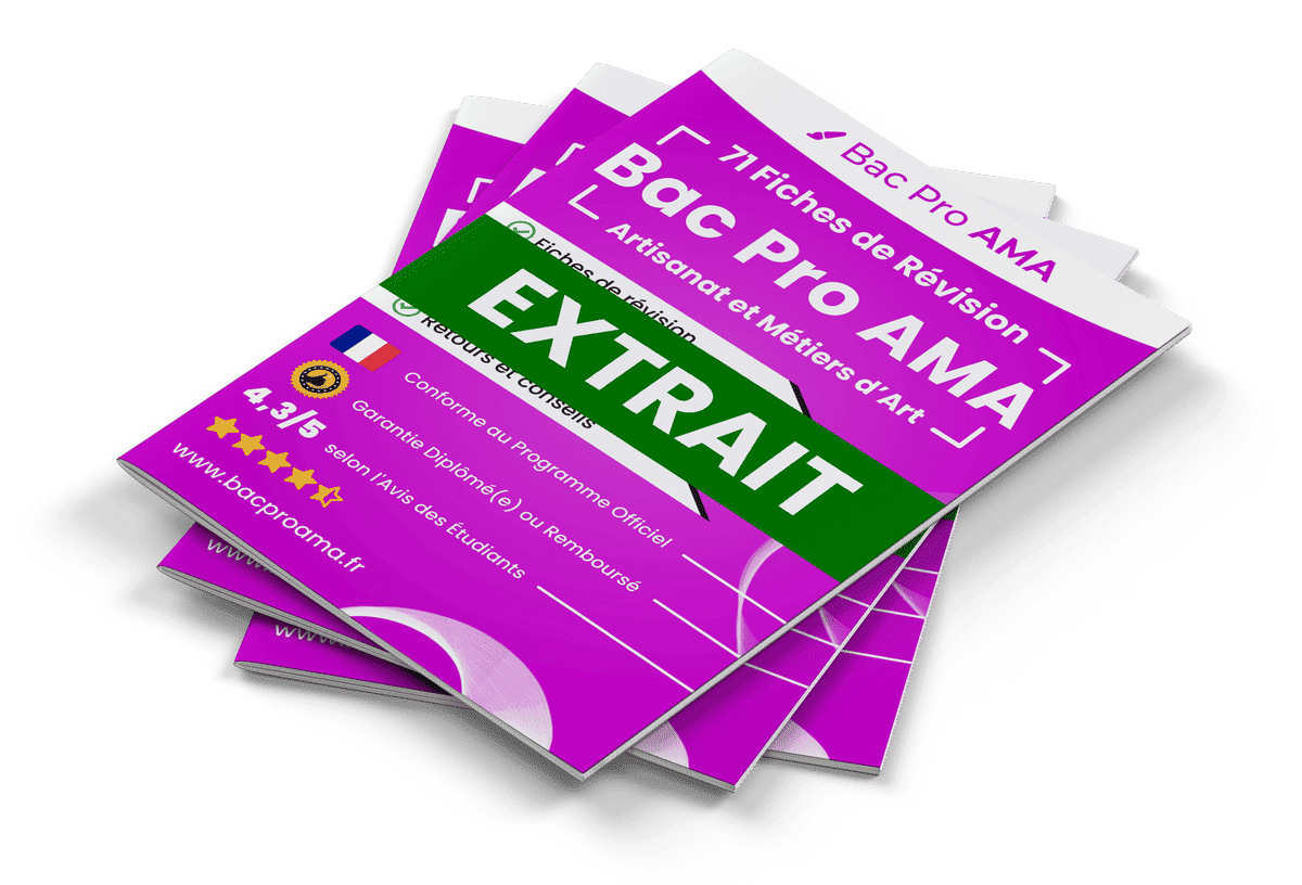 15 Fiches Révision gratuites Bac Pro AMA