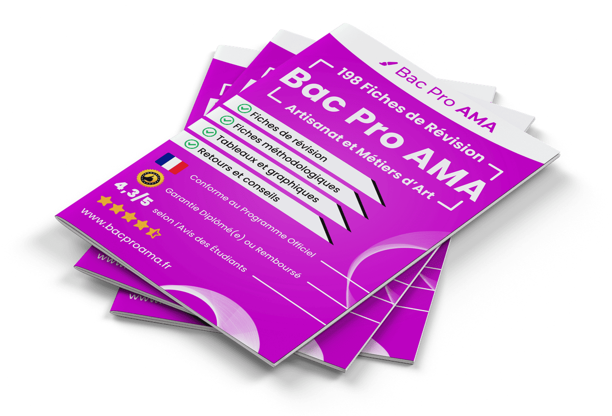 198 Fiches de Révision pour le Bac Pro AMA